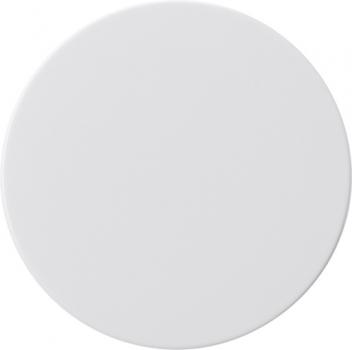 Gira Dimmerknopf Flächenschalter Reinweiß 0910112