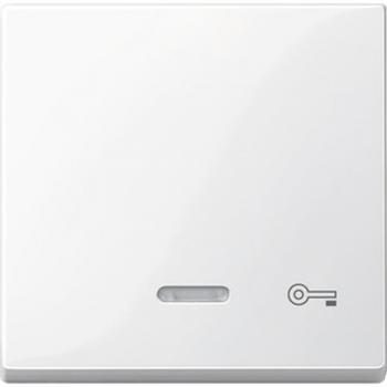 Merten System M Kontroll Wippe+Symbol SchlŸssel polarwei§ gl_nzend 435319