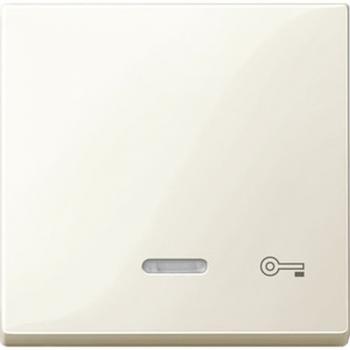 Merten System M Kontroll Wippe+Symbol SchlŸssel wei§ gl_nzend 435344