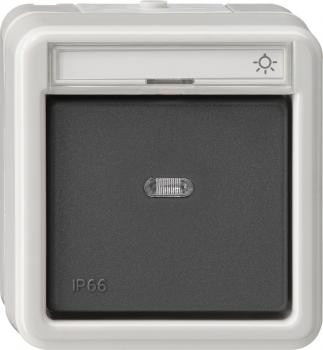 Gira IP44 WD Wipptaster Wechsler Aufputz Grau 015631