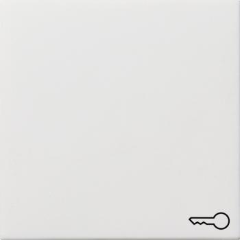 Gira Wippe Symbol SchlŸssel Fl_chenschalter Reinwei§ 0287112