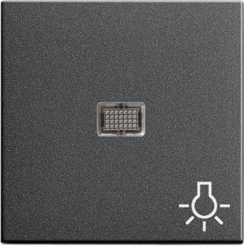 Gira System 55 Kontroll Wippe+Symbol Licht Anthrazit 063028