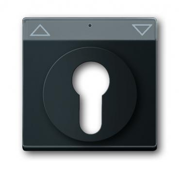 B+J future® linear, Abdeckung für Schlüsselschalter, schwarz matt 1755SL/PZ-885-101