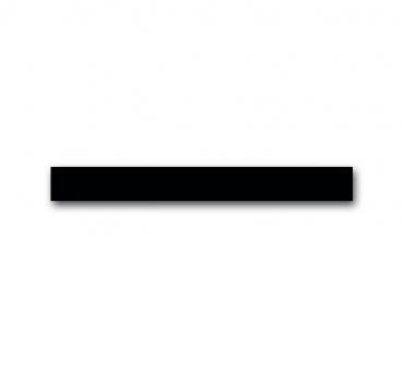 B+J Busch-priOn¨ Sensoren, Abschlussleisten oben, Abschlussleiste oben IR und N_herungssensor, Glas schwarz 6350-825-101