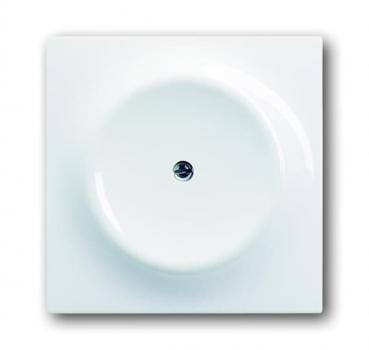 B+J impuls  Blindzentralscheibe, alpinwei§ 1742-74