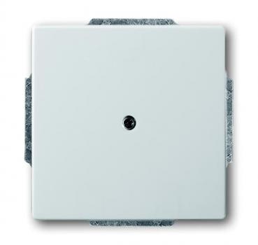 B+J pur edelstahl, Blindzentralscheibe 1742-866