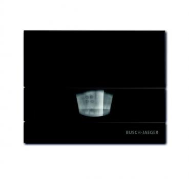 B+J Busch-W_chter¨ 110 MasterLINE, braun 6855 AGM-201