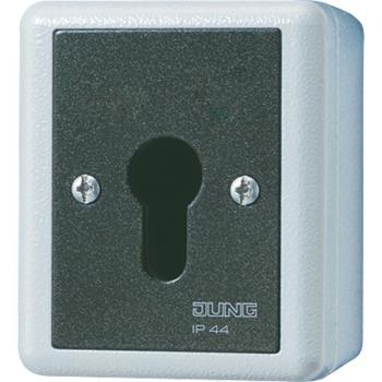 Jung WG 800 IP44 Schluesselschalter 806.28G