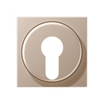 Jung A500 Abdeckung Schluesselschalter Champagner A528PLCH