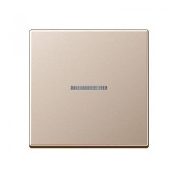 Jung A500 Kontroll Wippe Champagner A590KO5CH