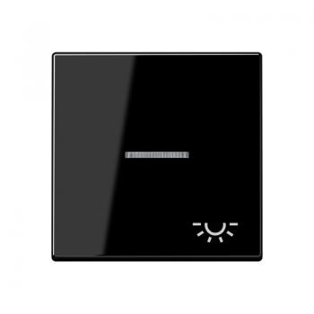 Jung A500 Kontroll Wippe mit Symbol Licht Schwarz A590KO5LSW