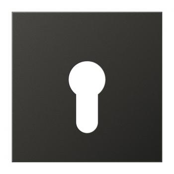 Jung LS990 Abdeckung Schluesselschalter Anthrazit AL2925AN