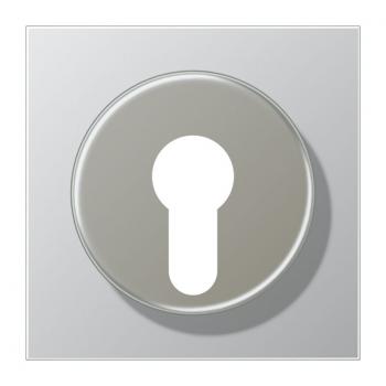 Jung LS990 Abdeckung Schluesselschalter Aluminium AL2928