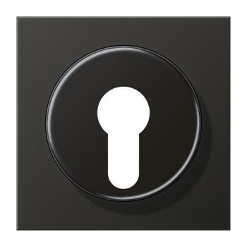 Jung LS990 Abdeckung Schluesselschalter Anthrazit AL2928AN