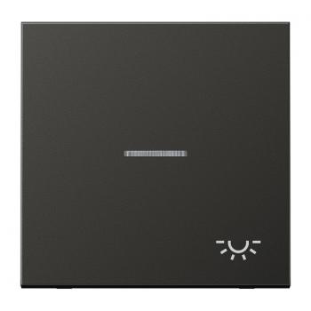 Jung LS990 Kontroll Wippe mit Symbol Licht Anthrazit AL2990KO5LAN