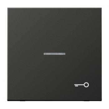 Jung LS990 Kontroll Wippe mit SYmbol TuerAnthrazit AL2990KO5TAN