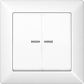 Jung AS500 Kontroll Serien Wippe mit Vollplatte Alpinweiß AS590-5KO5WW