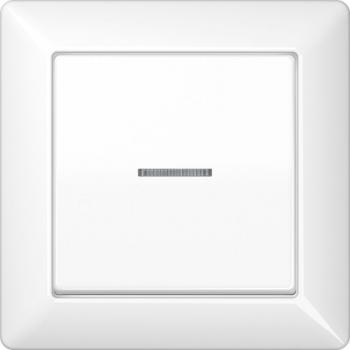 Jung AS500 Kontroll Wippe mit Vollplatte Alpinweiß AS590KO5WW