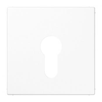 Jung LS990 Abdeckung Schluesselschalter Alpinweiß LS925WW