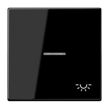 Jung LS990 Kontroll Wippe mit Symbol Licht Schwarz LS990KO5LSW