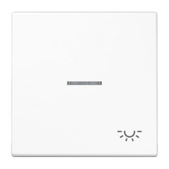 Jung LS990 Kontroll Wippe mit Symbol Licht Alpinweiß LS990KO5LWW