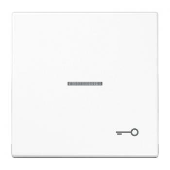 Jung LS990 Kontroll Wippe mit Symbol Tuer Alpinweiß LS990KO5TWW