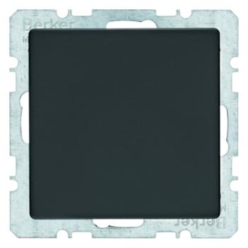 Berker Q.1/Q.3 Blindplatte anthrazit, samt 10096086