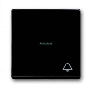 B+J carat®, Wippe mit Symbol "Klingel", anthrazit 1789 KI-81