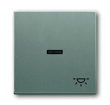 B+J solo®, Wippe mit Symbol "Licht", graumetallic 1789LI-803