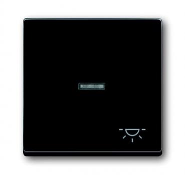 B+J carat®, Wippe mit Symbol "Licht", anthrazit 1789 LI-81