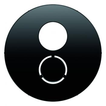 Berker R.1/R.3 Abdeckung Lautsprechersteckdose schwarz, glänzend 11962045