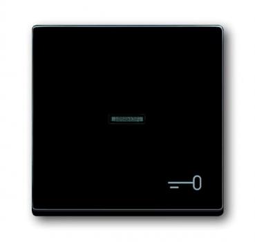 B+J carat®, Wippe mit Symbol "Schlüssel", anthrazit 1789 TR-81