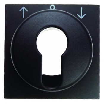 Berker B.3/B.7 Abdeckung SchlŸsselschalter anthrazit, matt 15061606