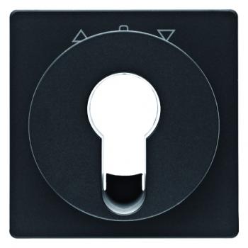 Berker Q.1/Q.3 Abdeckung Schlüsselschalter anthrazit, samt 15066086