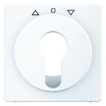 Berker Q.1/Q.3 Abdeckung Schlüsselschalter polarweiß, samt 15066089