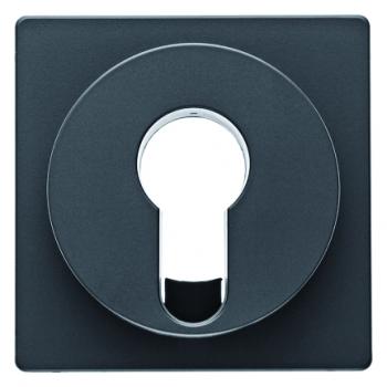 Berker Q.1/Q.3 Abdeckung Schlüsselschalter anthrazit, samt 15076086