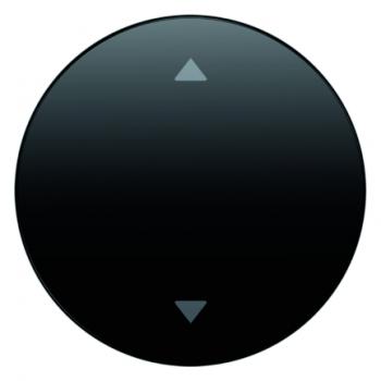 Berker R.1/R.3 Jalousie Wippe 1Fach schwarz, glänzend 16202005