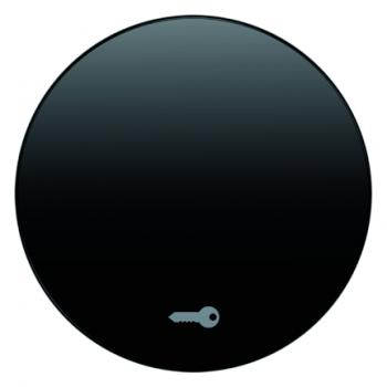 Berker R.1/R.3 Wippe+Symboll Schlüssel schwarz, glänzend 16202015
