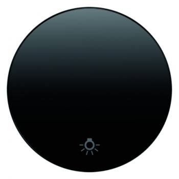 Berker R.1/R.3 Wippe+Symboll Licht schwarz, glänzend 16202035