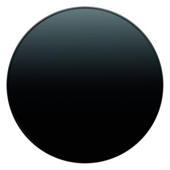 Berker R.1/R.3 Wippe schwarz, glänzend 16202045