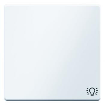 Berker Q.1/Q.3 Wippe+Symbol Licht polarweiß, samt 16206049