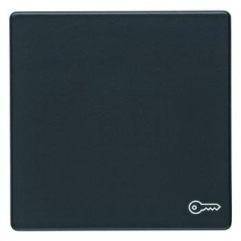Berker Q.1/Q.3 Wippe+Symbol Schlüssel anthrazit, samt 16206066