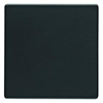 Berker Q.1/Q.3 Wippe anthrazit, samt 16206086