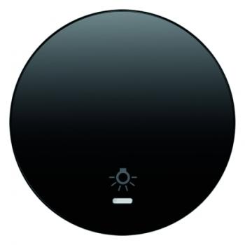 Berker R.1/R.3 Kontroll Wippe+Symboll Licht schwarz, glänzend 16212035