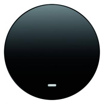 Berker R.1/R.3 Kontroll Wippe schwarz, glänzend 16212045