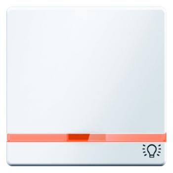 Berker Q.1/Q.3 Kontroll Wippe+Symbol Licht polarweiß, samt 16216079