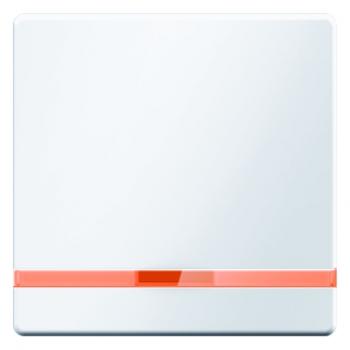 Berker Q.1/Q.3 Kontroll Wippe polarweiß, samt 16216089