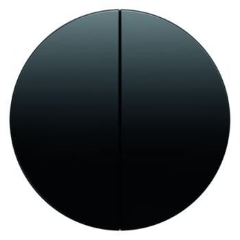 Berker R.1/R.3 Serien Wippe schwarz, glänzend 16232045