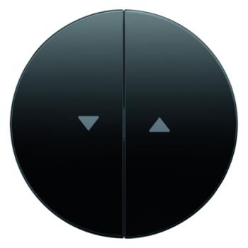 Berker R.1/R.3 Jalousie Wippe schwarz, glänzend 16252045