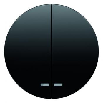 Berker R.1/R.3 Serien Kontroll Wippe schwarz, glänzend 16272045